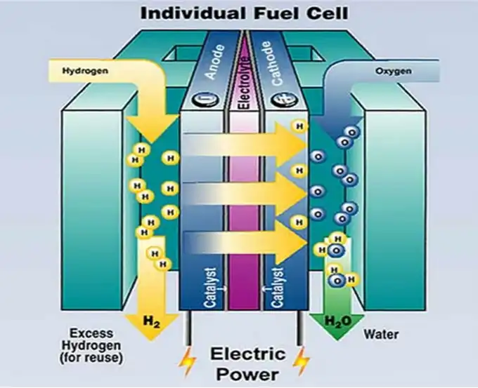 Electrode Reactions In Fuel Cells Anode And Cathode Tmnetch