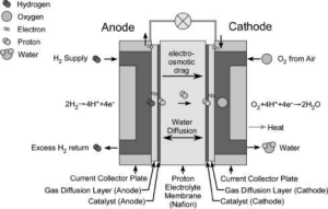 PEM fuel cell bipolar plates