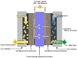 applications of Proton Exchange Membranes