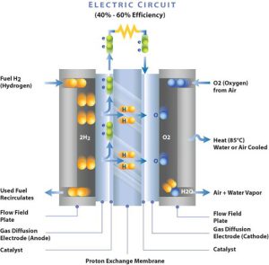 Membrane Electrode Assembly Electro Chemical Reaction Diagram