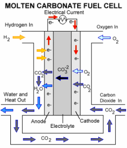 Molten carbonate fuel cell