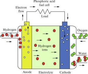 Phosphoric acid fuel cell