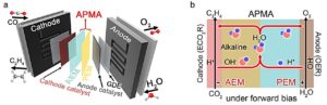 membrane electrode assembly (MEA) in Fuel Cells