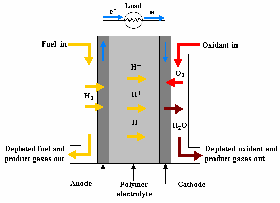 Flow Patterns of Anode and Cathode Fluids