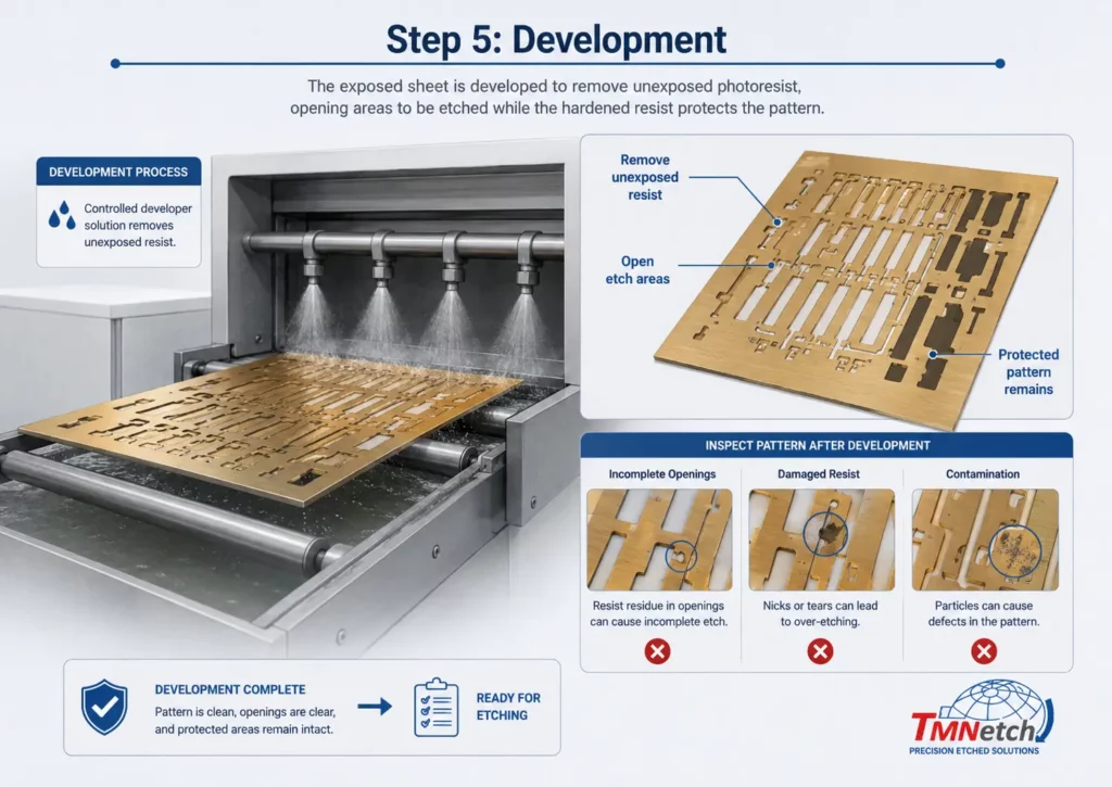 Step 5 Development