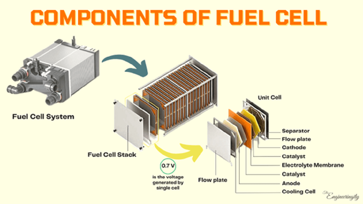 Components of Fuel Cell