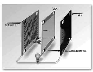 Structure of Bipolar Plates in Fuel Cell Plates