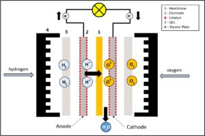 Flow Patterns of Anode and Cathode Fluids in Fuel Cell Plates