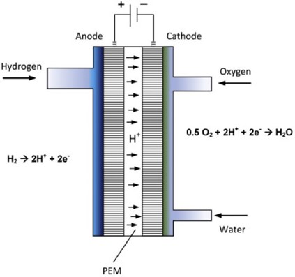 Proton Exchange Membrane Fuel Cell