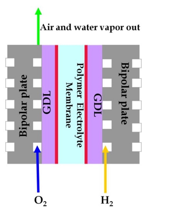 Water Management and Humidity Regulation