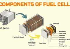 Components of Fuel Cell