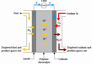 Flow Patterns of Anode and Cathode Fluids